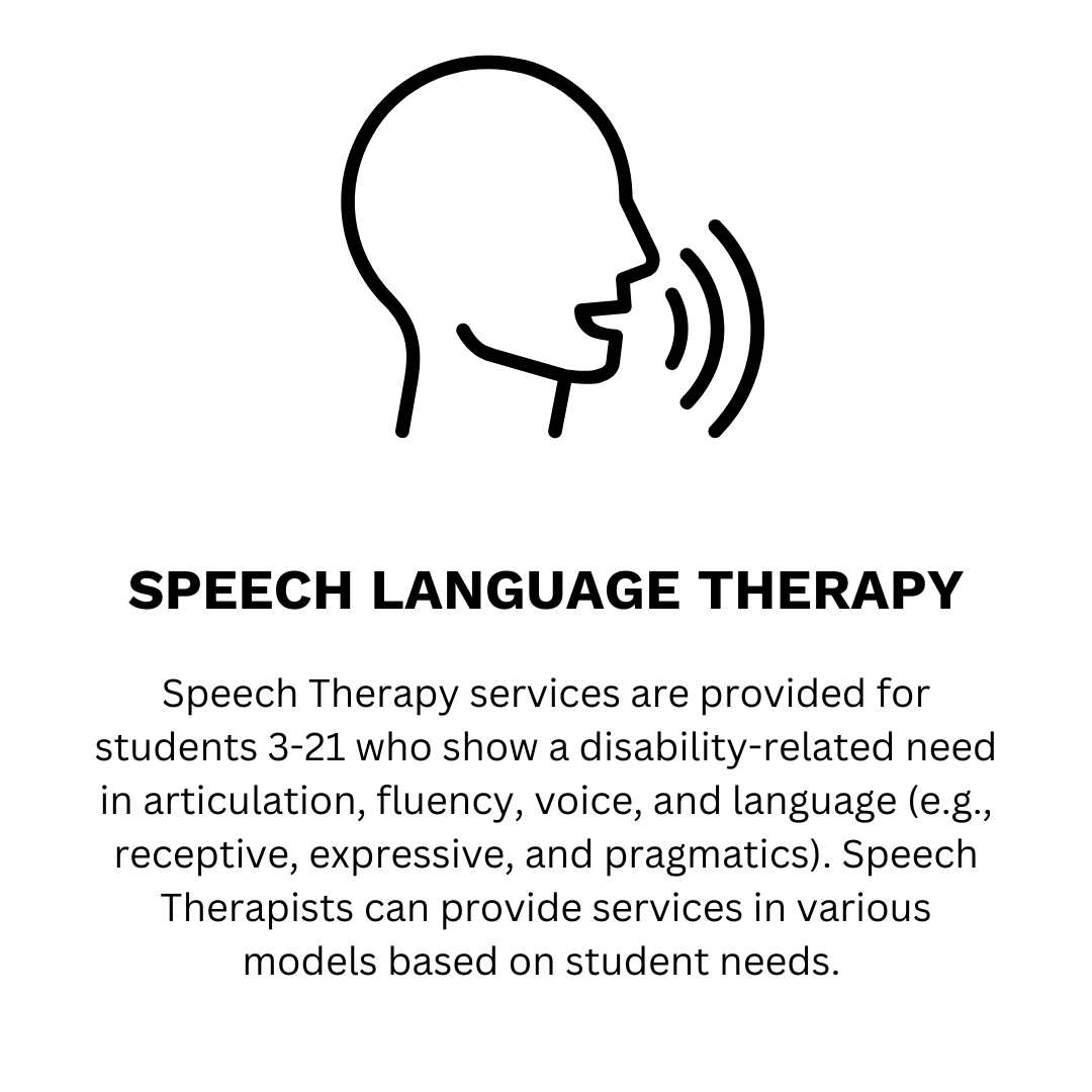 speech language therapy